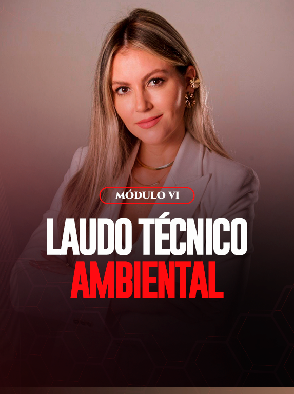 MÓDULO VI